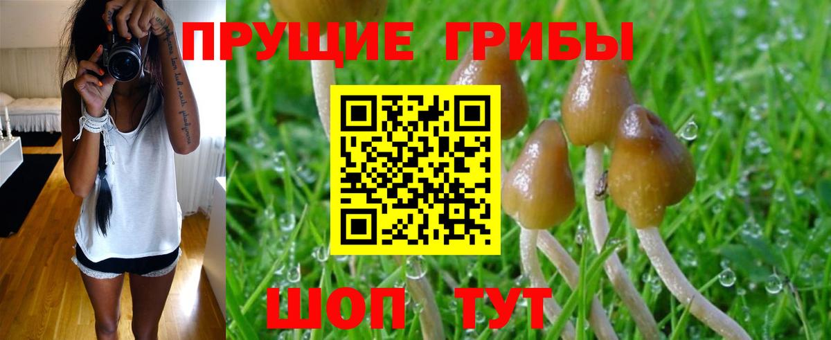 Калач-на-Дону  Галлюциногенные грибы мухоморы  Вход с VPN  Галлюциногенные грибы прущие грибы 